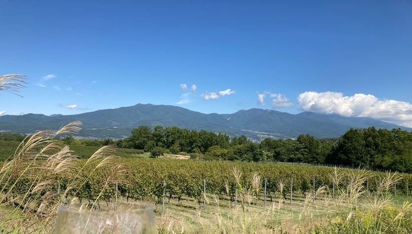 第3回SMILE１dayトリップ（9/27）のご報告