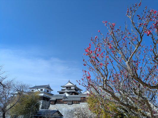 第4回SMILEツアーのご報告（2/20～22）